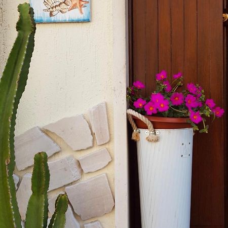 Sogno Mediterraneo Formia Zewnętrze zdjęcie